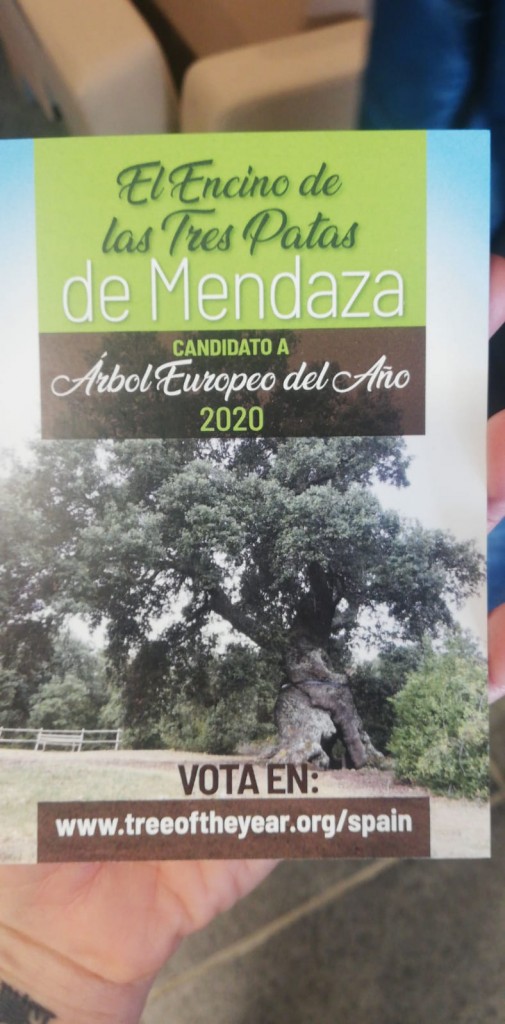 Mendaza, Encino Tres Patas, PHOTO-2020-01-30-11-24-04